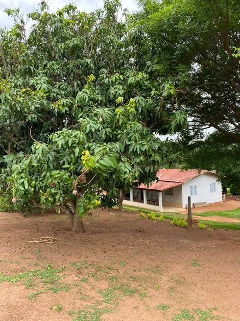Foto 1 de Fazenda/Sítio com 3 Quartos à venda, 50000m² em , Bela Vista de Goiás