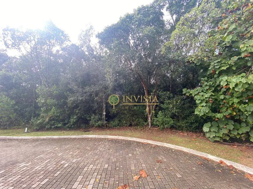 Foto 1 de Lote/Terreno à venda, 738m² em Campeche, Florianópolis