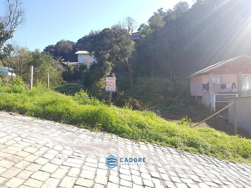 Foto 1 de Lote/Terreno à venda, 559m² em Desvio Rizzo, Caxias do Sul