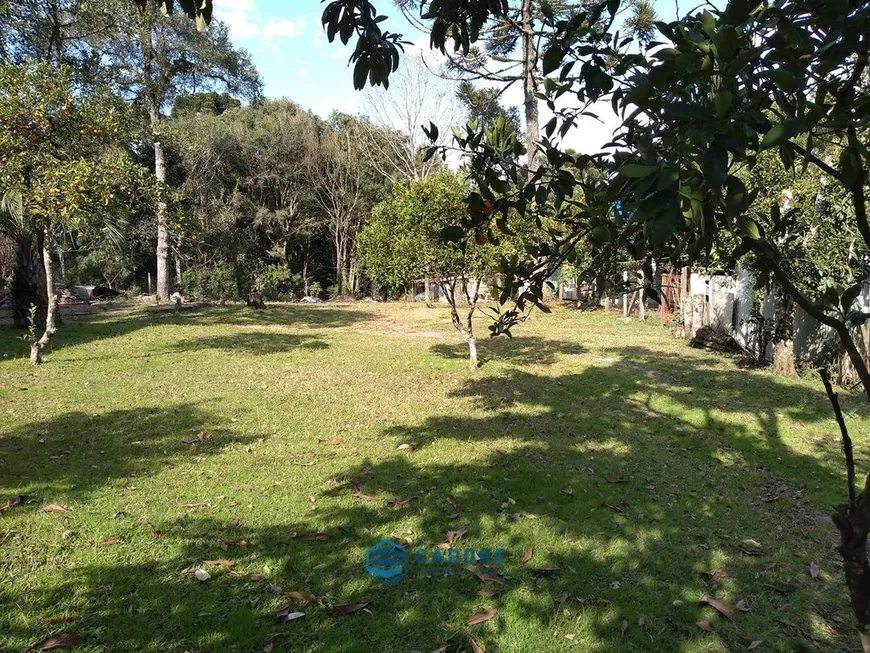 Foto 1 de Lote/Terreno à venda, 1245m² em Nossa Senhora do Rosário, Caxias do Sul