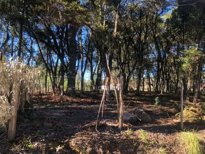 Foto 1 de Lote/Terreno à venda, 1600m² em , Canela