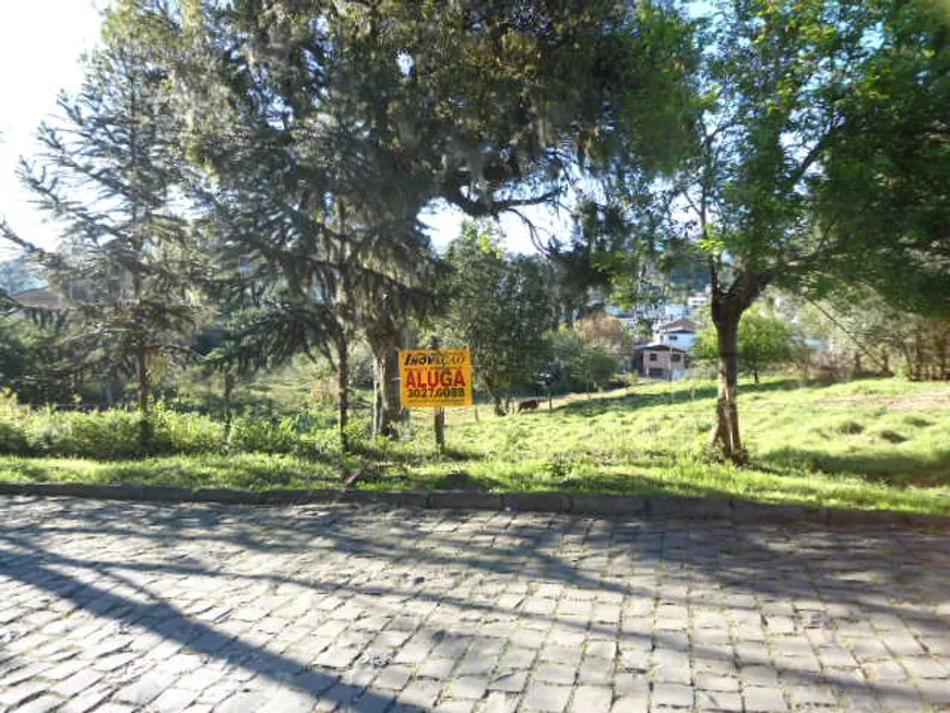 Foto 1 de Lote/Terreno para alugar, 1296m² em Cruzeiro, Caxias do Sul