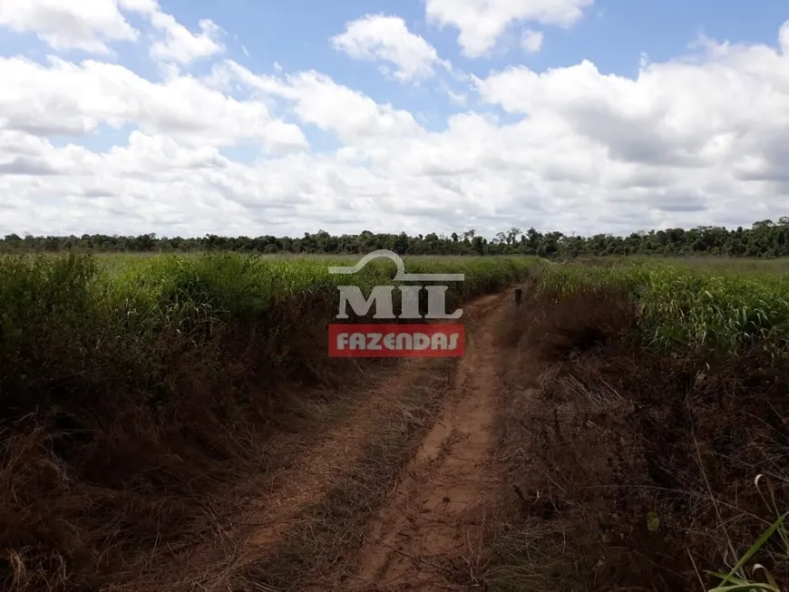 Foto 1 de Fazenda/Sítio à venda, 1757m² em Celio Miranda, Paragominas