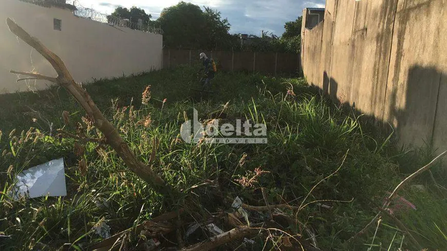 Foto 1 de Lote/Terreno à venda, 300m² em Custódio Pereira, Uberlândia