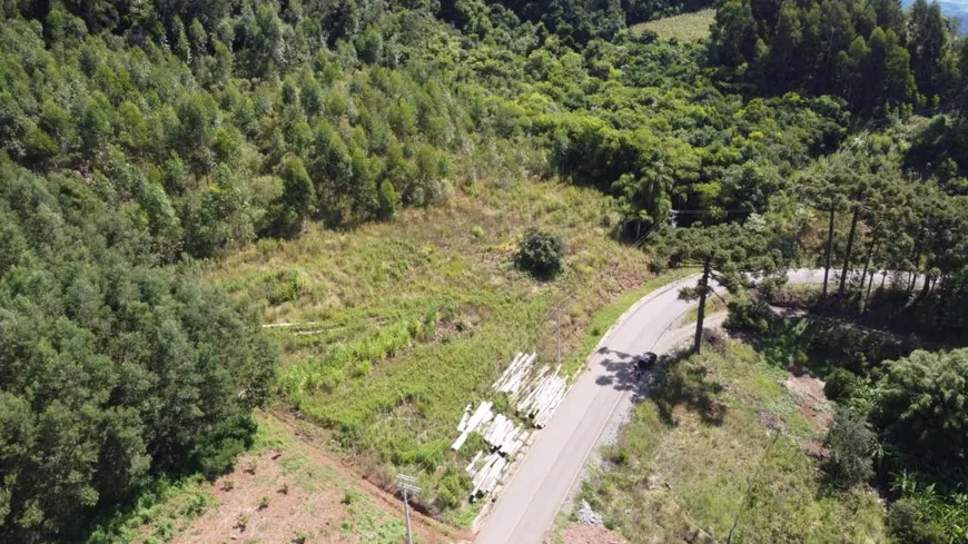 Foto 1 de Fazenda/Sítio com 1 Quarto à venda, 40000m² em Linha Avila, Gramado