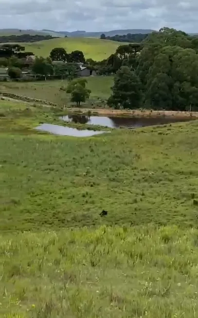 Foto 1 de Fazenda/Sítio com 4 Quartos à venda, 2230000m² em Santa Terezinha, Canela