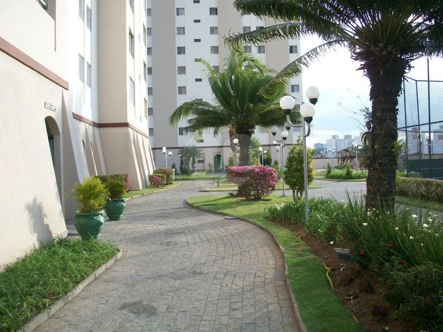 Foto 1 de Apartamento com 3 Quartos à venda, 98m² em Parque Mandaqui, São Paulo