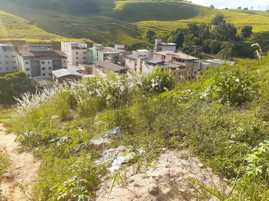 Foto 1 de Lote/Terreno à venda, 327m² em Santo Antônio I, Ponte Nova