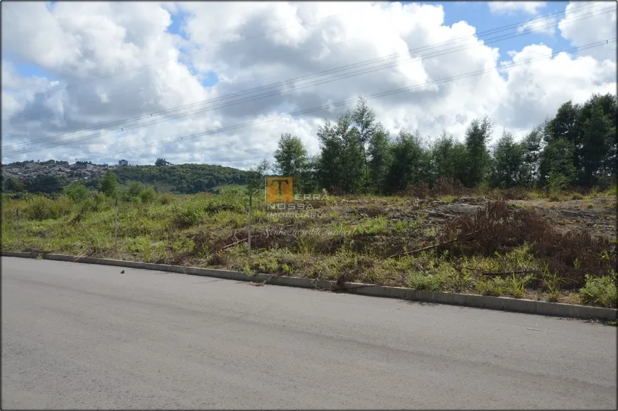 Foto 1 de Lote/Terreno à venda, 314m² em São Luiz, Caxias do Sul