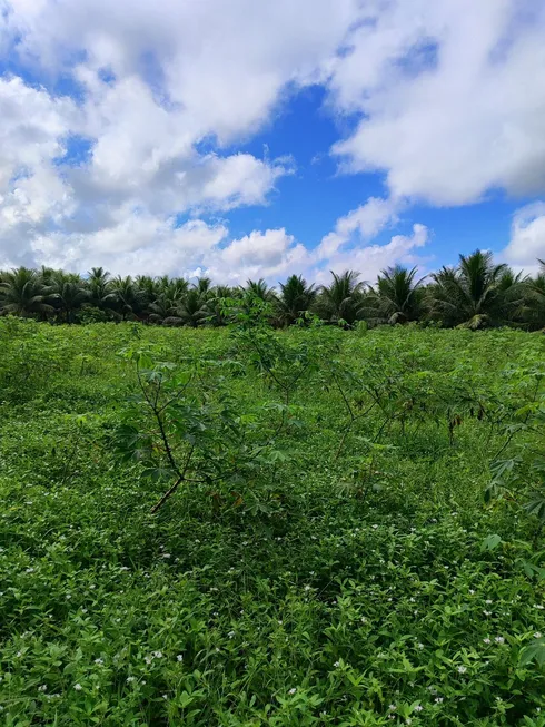 Foto 1 de Fazenda/Sítio com 1 Quarto à venda, 4000m² em Sitio Arena, São José de Mipibu