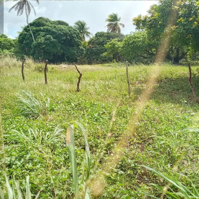 Foto 1 de Fazenda/Sítio com 3 Quartos à venda, 260000m² em Centro, Rio do Fogo