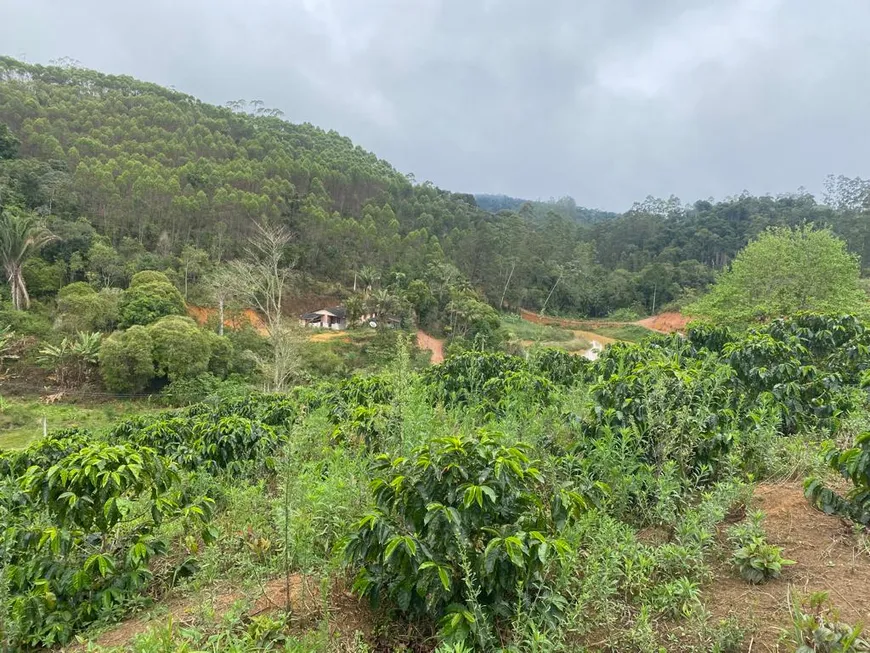 Foto 1 de Fazenda/Sítio à venda, 2500m² em Zona Rural, Santa Teresa