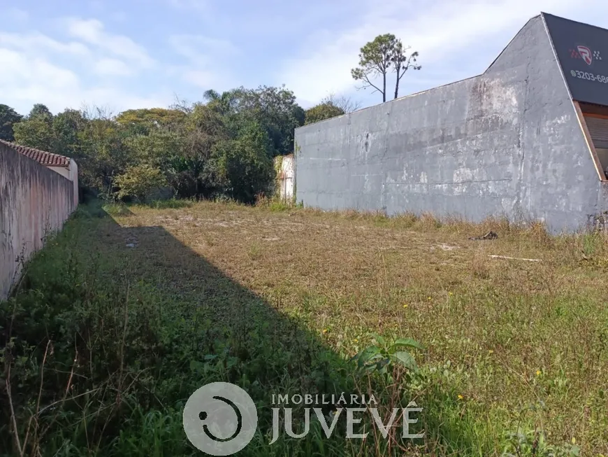 Foto 1 de Lote/Terreno para alugar, 609m² em Centro Cívico, Curitiba