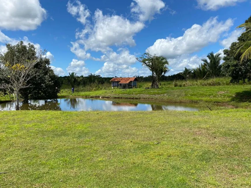 Foto 1 de Fazenda/Sítio à venda em , Cantanhede