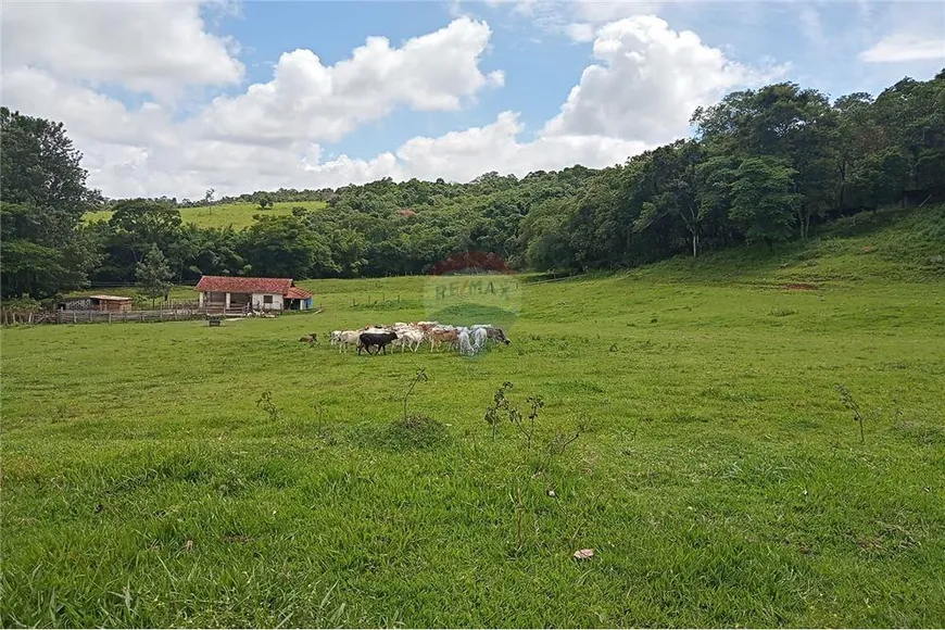 Foto 1 de Lote/Terreno à venda, 27060m² em Maracanã, Jarinu