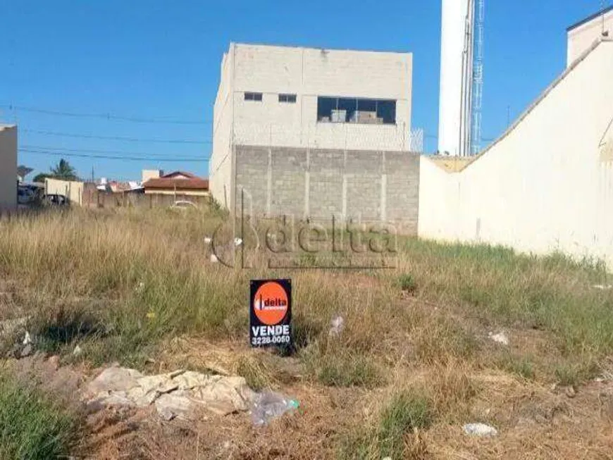 Foto 1 de Lote/Terreno à venda, 250m² em Alto Umuarama, Uberlândia