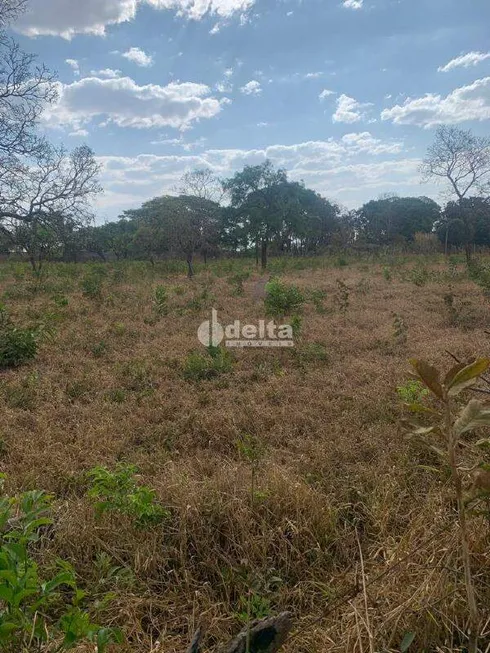 Foto 1 de Fazenda/Sítio à venda, 10000m² em Chacaras Bonanza, Uberlândia