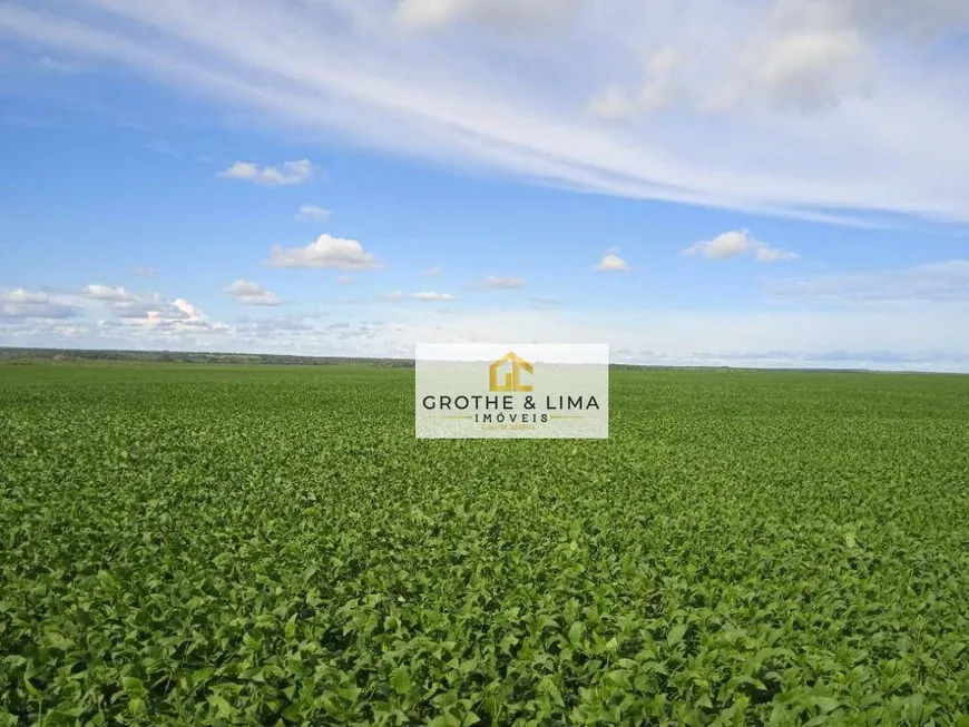 Foto 1 de Fazenda/Sítio com 3 Quartos à venda, 200m² em , Formoso do Araguaia