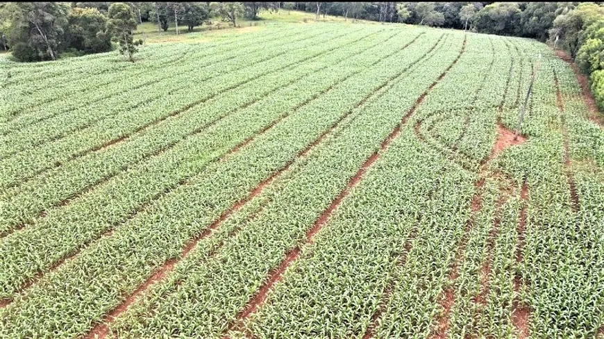 Foto 1 de Fazenda/Sítio à venda, 133100m² em Centro, Candói