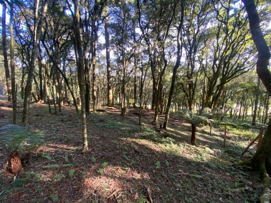 Foto 1 de Lote/Terreno à venda, 953m² em Pinheiro Grosso, Canela