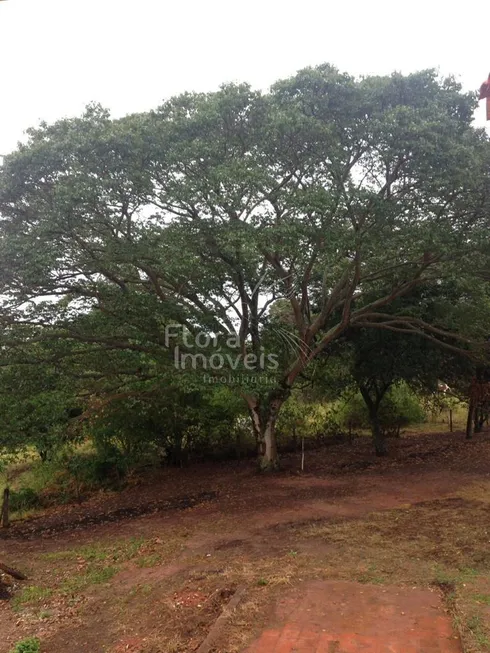 Foto 1 de Fazenda/Sítio com 2 Quartos à venda, 20000m² em Centro, Cafelândia