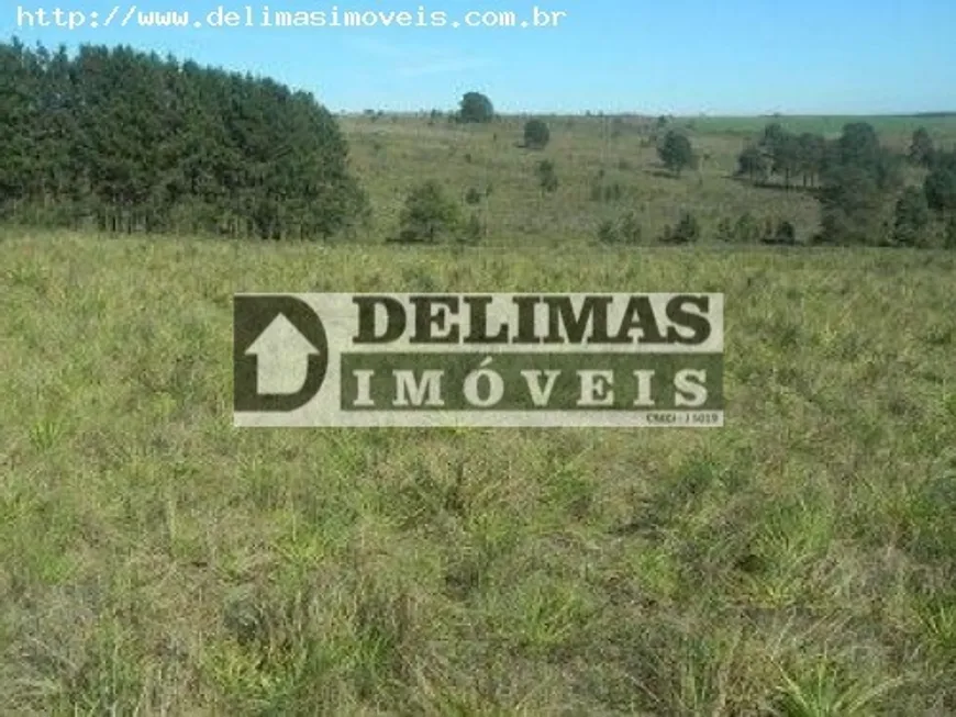 Foto 1 de Fazenda/Sítio com 1 Quarto à venda, 732m² em São Luiz do Purunã, Balsa Nova