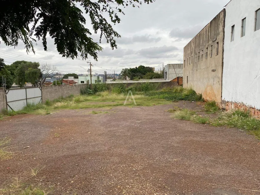 Foto 1 de Lote/Terreno para alugar, 629m² em Cancelli, Cascavel