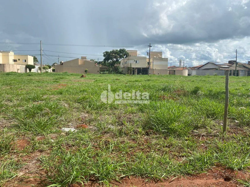 Foto 1 de Lote/Terreno à venda, 1000m² em Jardim Holanda, Uberlândia