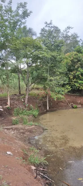 Foto 1 de Fazenda/Sítio à venda, 5000m² em Residencial Francielly Ribeiro, Goianira