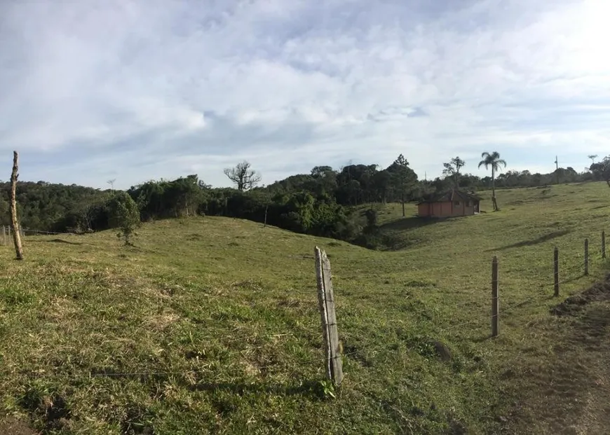 Foto 1 de Fazenda/Sítio à venda, 20303m² em , Campo Alegre