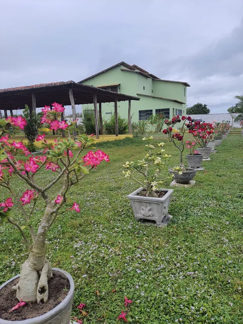 Foto 1 de Fazenda/Sítio com 4 Quartos à venda, 40000m² em Zona Rural, Monte Alegre