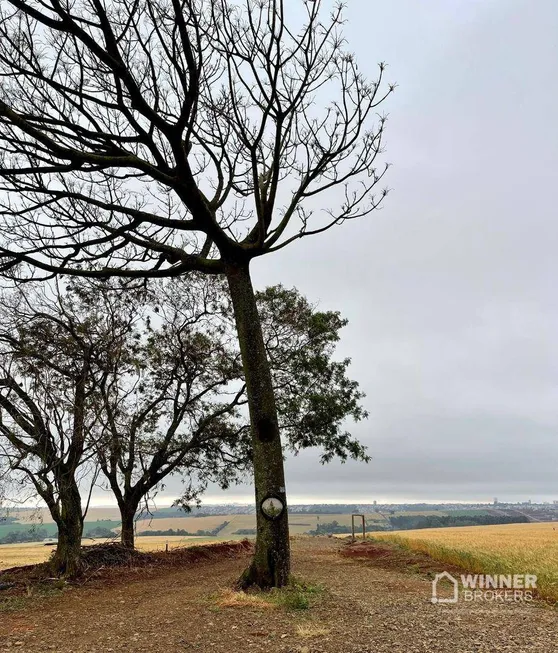 Foto 1 de Fazenda/Sítio à venda, 1200m² em Parque Industrial V, Arapongas