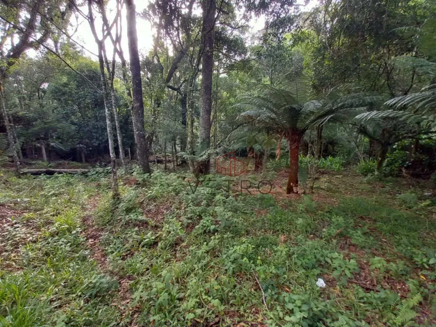 Foto 1 de Lote/Terreno à venda, 445m² em , São Francisco de Paula