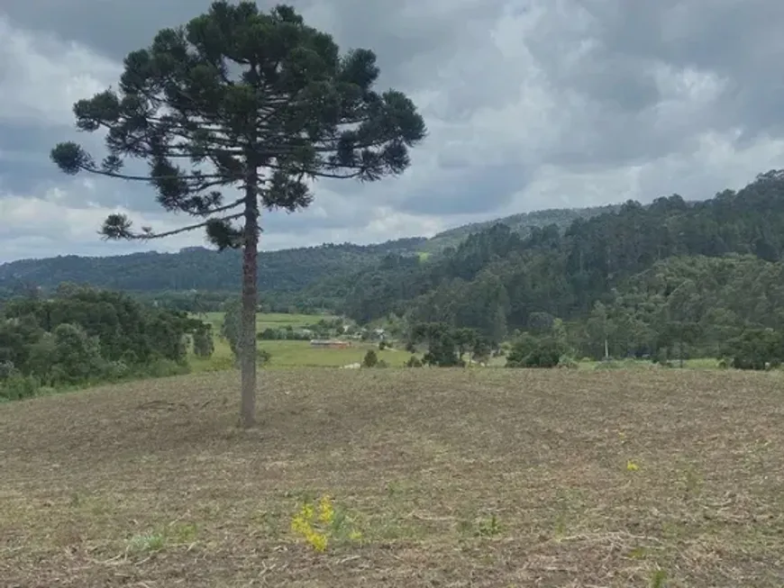 Foto 1 de Lote/Terreno à venda em Zona Rural, Urubici