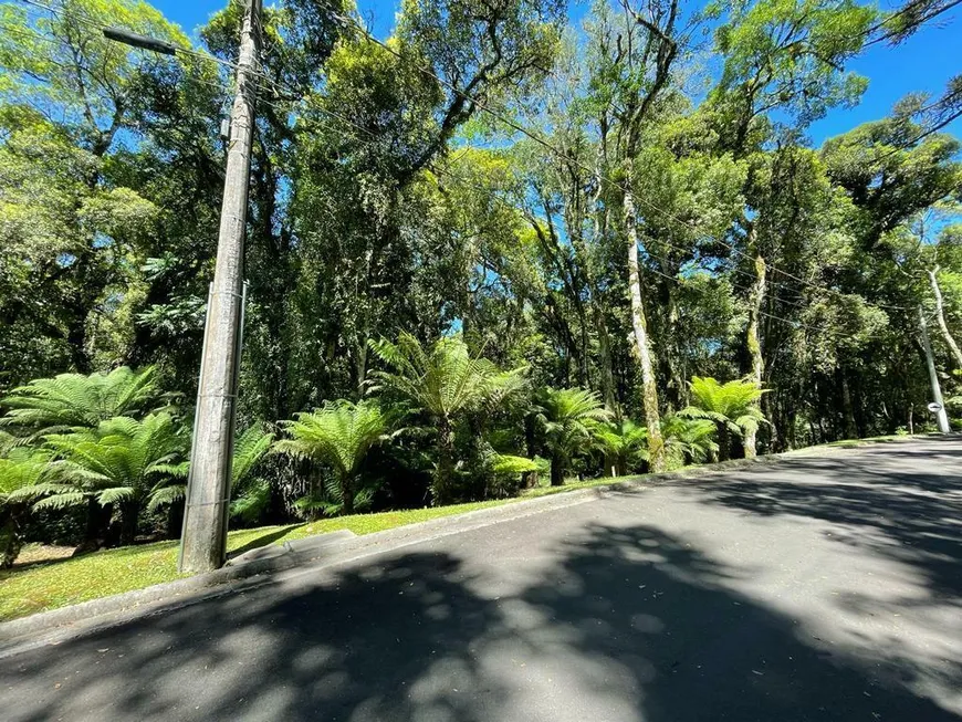 Foto 1 de Lote/Terreno à venda, 1093m² em Centro, Gramado