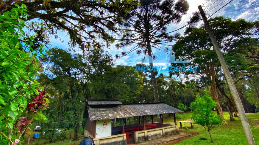 Foto 1 de Fazenda/Sítio com 3 Quartos à venda, 157454m² em Jardim Pinheiros, Quatro Barras