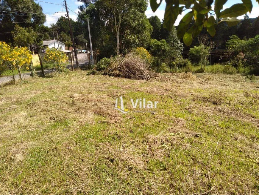 Foto 1 de Lote/Terreno à venda, 432m² em Dom Rodrigo, São José dos Pinhais