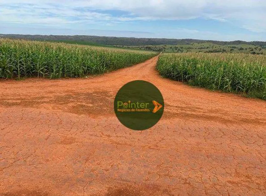 Foto 1 de Fazenda/Sítio à venda, 2904000m² em Zona Rural, Campo Alegre de Goiás