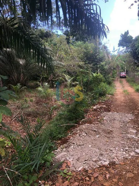 Foto 1 de Lote/Terreno à venda, 1500m² em , Itacaré