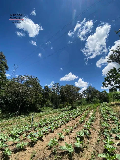 Foto 1 de Fazenda/Sítio com 3 Quartos à venda, 144000m² em Area Rural de Amparo, Amparo