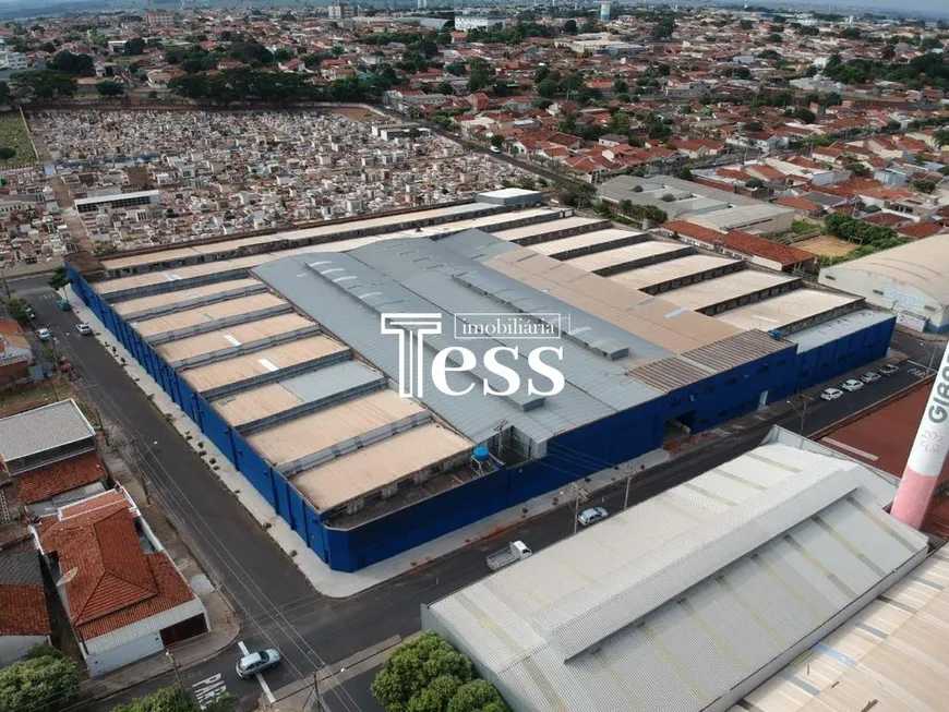 Foto 1 de Ponto Comercial para alugar, 11000m² em Centro, Mirassol