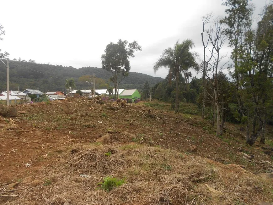 Foto 1 de Lote/Terreno à venda, 651m² em Vale Verde, Nova Petrópolis