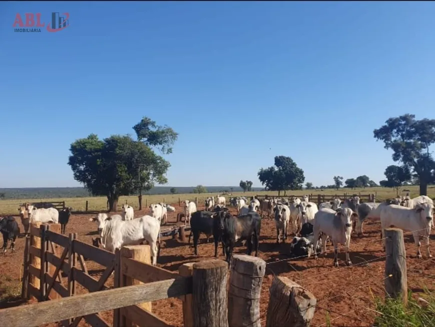 Foto 1 de Fazenda/Sítio à venda, 10000000m² em Centro, Nova Andradina