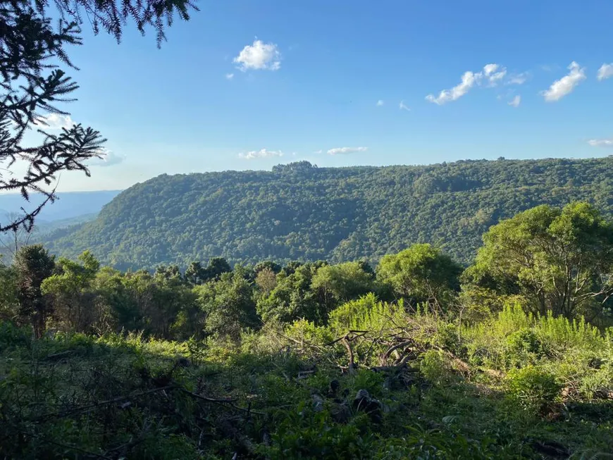 Foto 1 de à venda, 52000m² em Carazal, Gramado