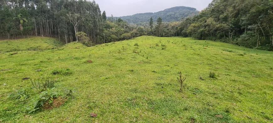 Foto 1 de Fazenda/Sítio com 1 Quarto à venda, 5000m² em Centro, Anitápolis