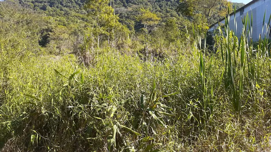 Foto 1 de Lote/Terreno à venda, 19200m² em Guabiruba Sul, Guabiruba