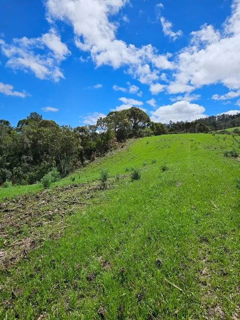 Foto 1 de Fazenda/Sítio à venda, 20000m² em , Urubici