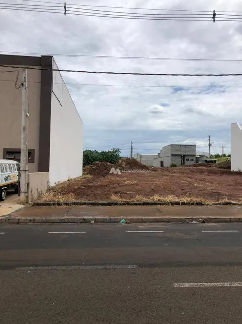 Foto 1 de Lote/Terreno para alugar, 365m² em Parque Quinta das Paineiras, São José do Rio Preto