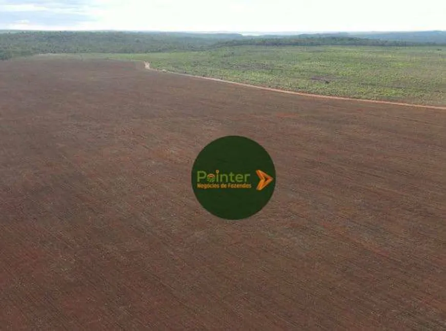 Foto 1 de Fazenda/Sítio à venda, 100000m² em Zona Rural, Pedro Afonso