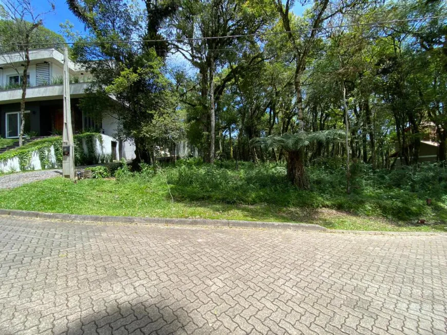 Foto 1 de Lote/Terreno à venda, 600m² em Pinheiro Grosso, Canela